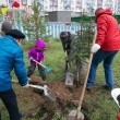 Жители Павшинской поймы высадили деревья и кустарники